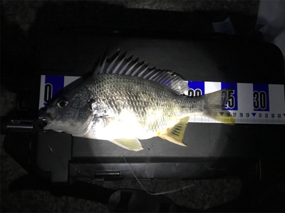 ちょい投げキス+α