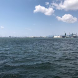 正月ぶりのショアジギ