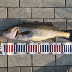 なんとかキワで2本