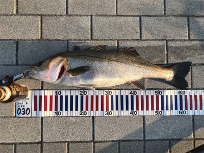 なんとかキワで2本