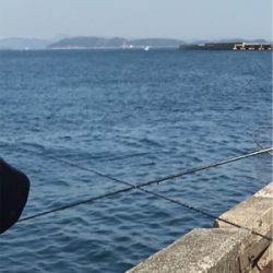 子どもの日で満員御礼