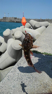 ぶらぶらブラクリ 穴釣り