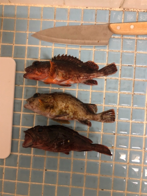 夜にガシリング