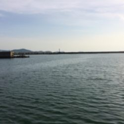 GWなので子供と釣りでも、