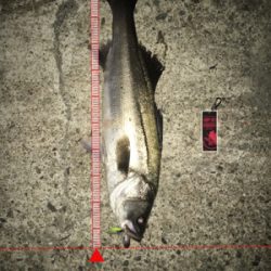 リベンジ達成‼️