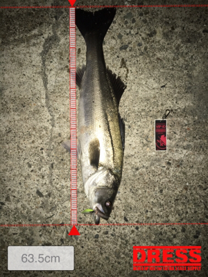 リベンジ達成‼️