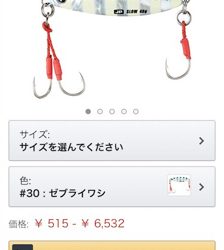 磯津漁港マゴチ