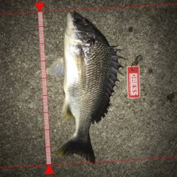 ゴールデンウィーク8日目