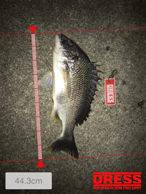 ゴールデンウィーク8日目