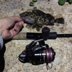 淀川ブリームゲーム 紀ノ川遠征