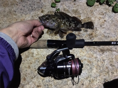 淀川ブリームゲーム 紀ノ川遠征