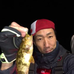 ナイトプラッキングゲーム☆GUNNING-STYLE