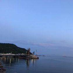 癒しのアジング