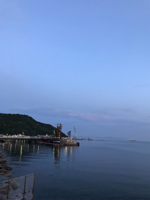 癒しのアジング