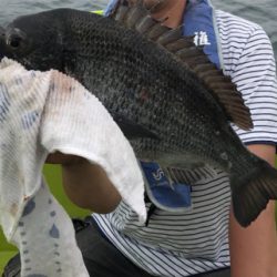 子供と釣船体験