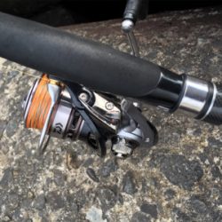 ゴールデン最終日