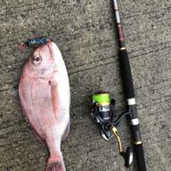 イカ釣れないからメタルジグなげたら！