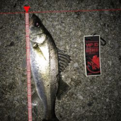 四日市クルバチパターン