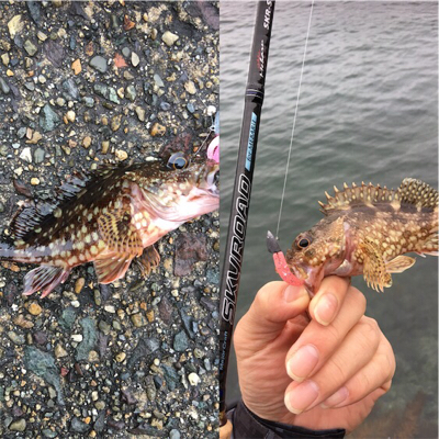 ライトゲームに変更