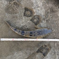 ちょっと!まっすぐになって‼︎‼︎