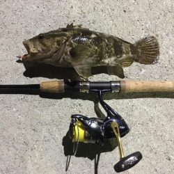 ナイスサイズ！