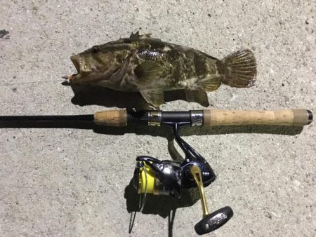 ナイスサイズ！