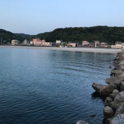 サーフエギング