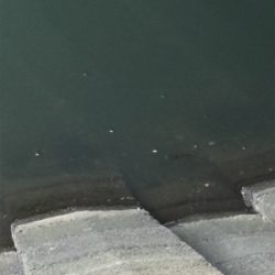 仕事終わりに少しだけ