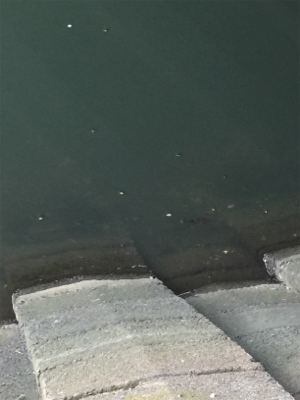 仕事終わりに少しだけ