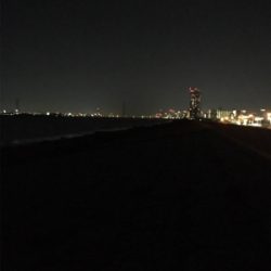 淀川ブリームゲーム ど干潮での釣果