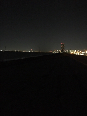 淀川ブリームゲーム ど干潮での釣果