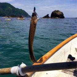 手漕ぎボートでガシラとアナゴが入れ食い@西小川