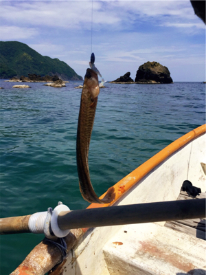 手漕ぎボートでガシラとアナゴが入れ食い@西小川