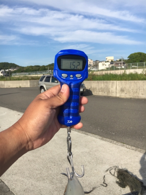 ヤエンで初ゲット