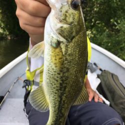 ハマれば爆釣桜池