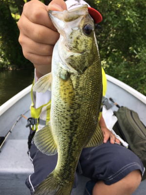 ハマれば爆釣桜池