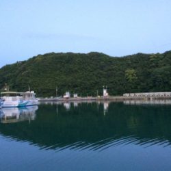 ボウズ逃れで・・・