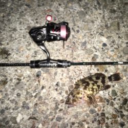 風裏とアジを求めてランガン