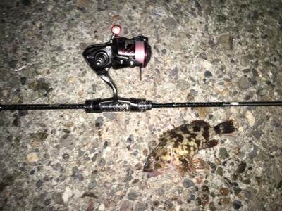 風裏とアジを求めてランガン