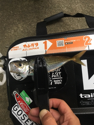 地合いは超短い