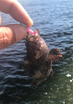 友と寝魚に癒されに♫