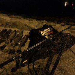 アタリは多いが(・・;)