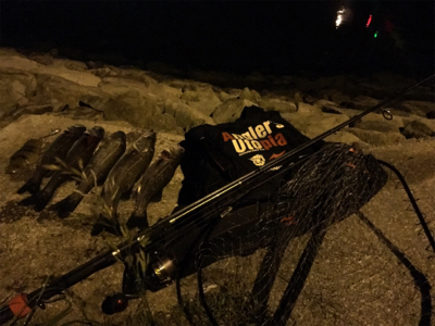 アタリは多いが(・・;)