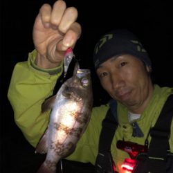 夕まずめ/ナイトゲーム☆GUNNING-STYLE