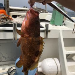 友人とジギング、タイラバ船釣行