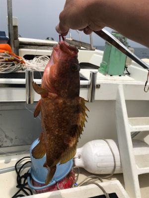 友人とジギング、タイラバ船釣行