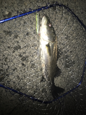 海の状況の変わり目で