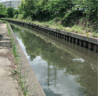 デイナマズゲーム