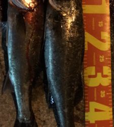 いつもの場所で^ ^