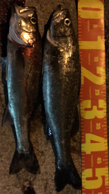 いつもの場所で^ ^